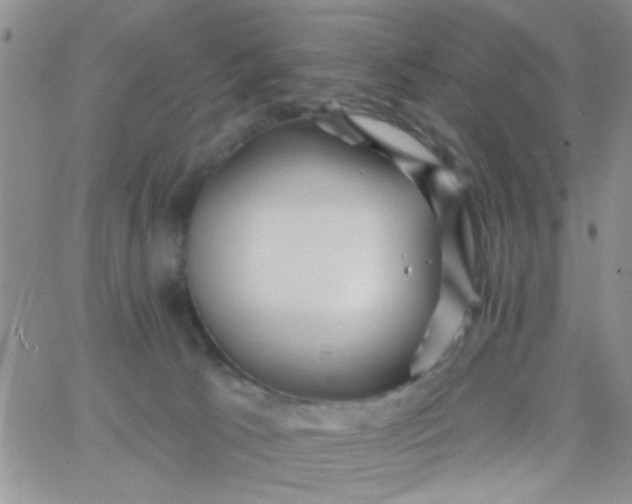 X0000065970033200603172101