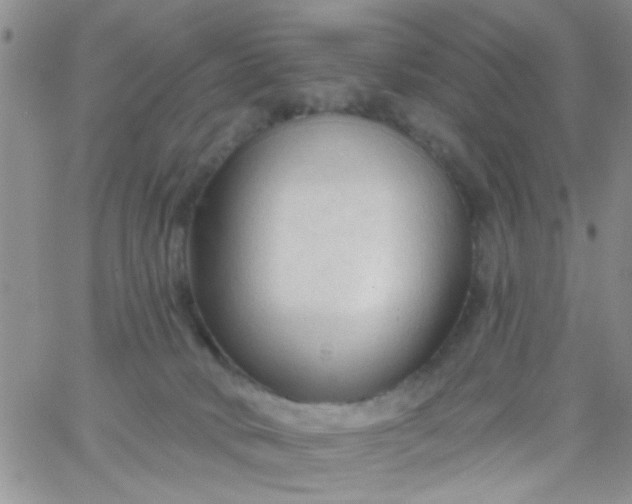 X0000065970034200603172101