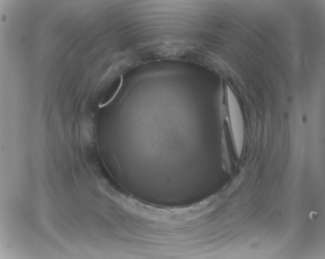 X0000065970035200603172101