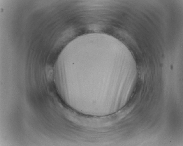 X0000065970036200603172101