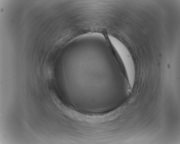 X0000065970039200603172101