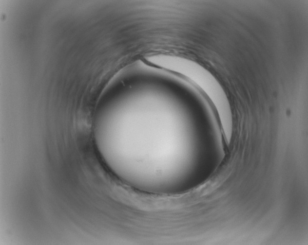 X0000065970040200603172101