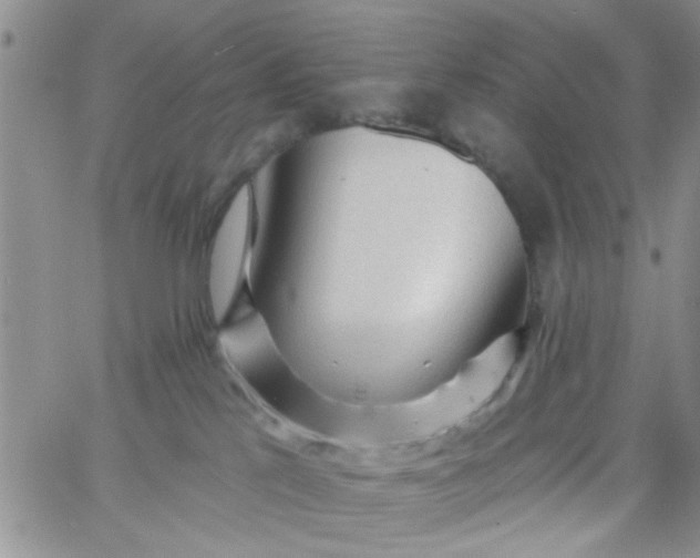 X0000065970041200603172101