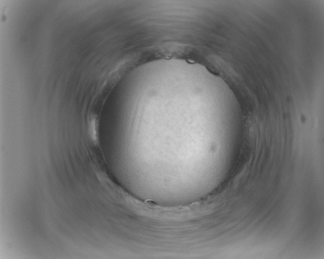 X0000065970042200603172101