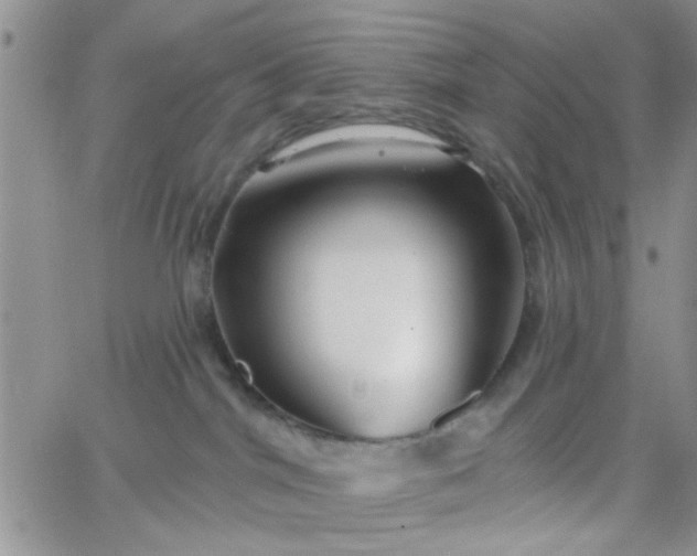 X0000065970044200603172101