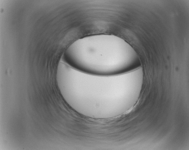 X0000065970045200603172101