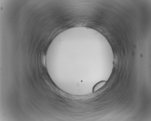 X0000065970046200603172101