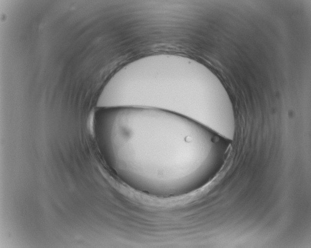 X0000065970047200603172101