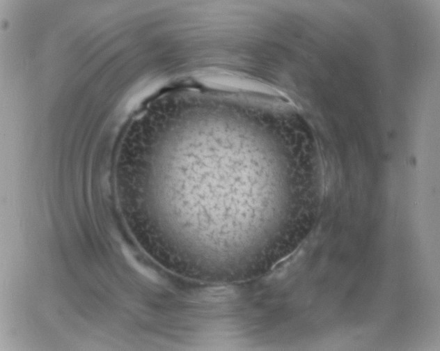 X0000065970050200603172100