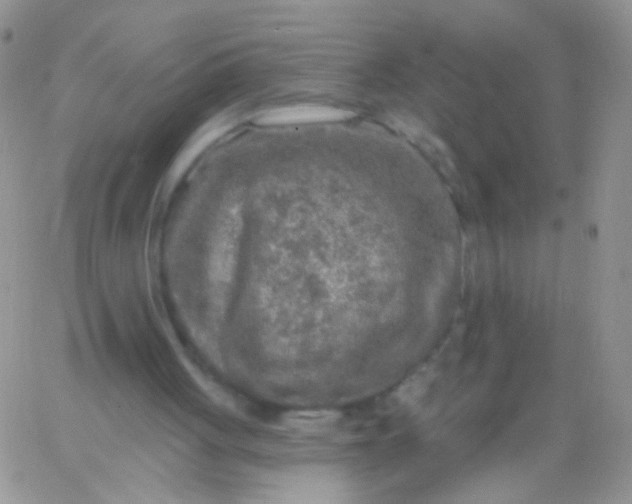 X0000065970051200603172100