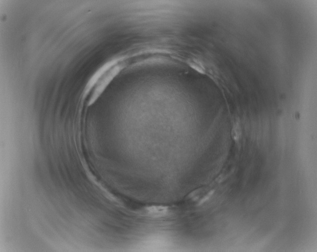 X0000065970052200603172100