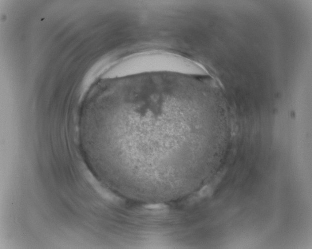 X0000065970053200603172100