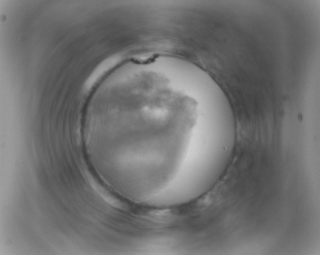 X0000065970054200603172100