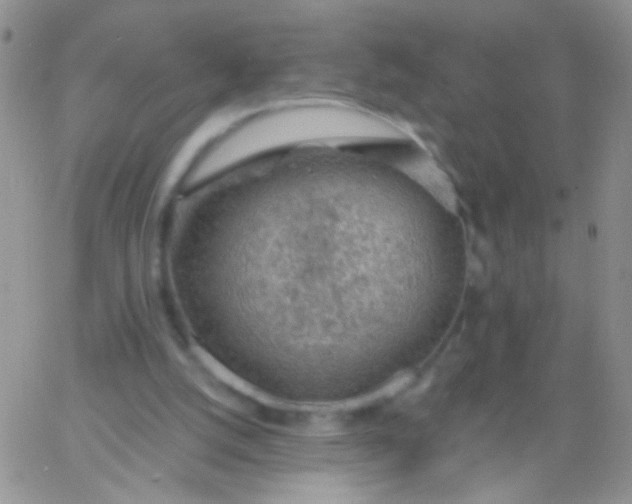 X0000065970056200603172100