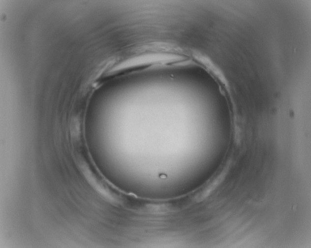 X0000065970057200603172100