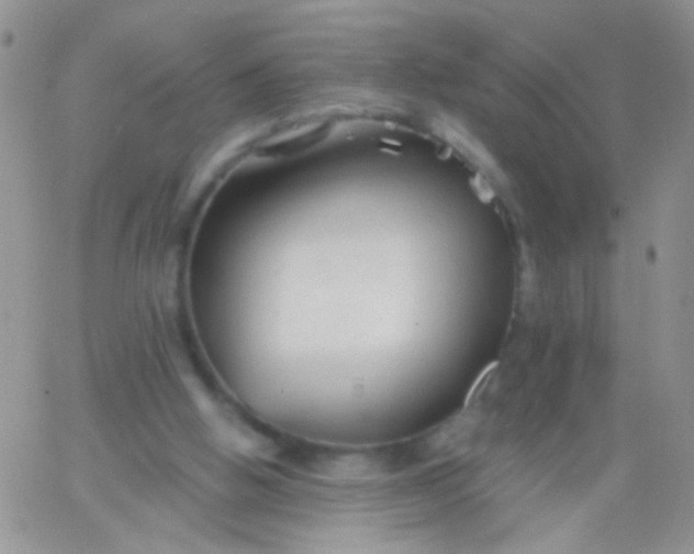 X0000065970058200603172100