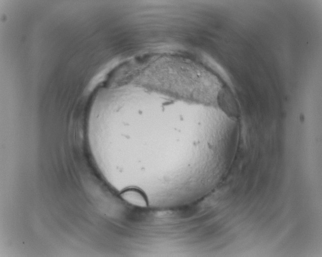 X0000065970059200603172100