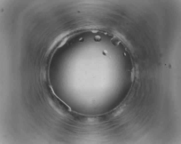 X0000065970060200603172100