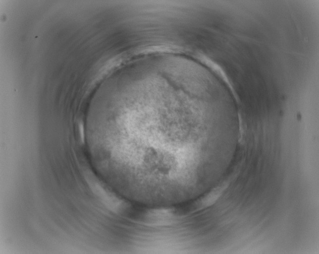 X0000065970061200603172100