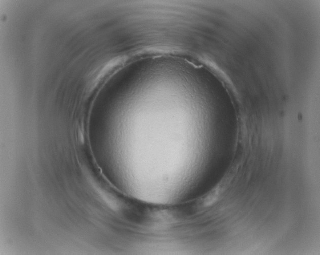 X0000065970062200603172100