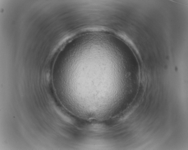 X0000065970063200603172100