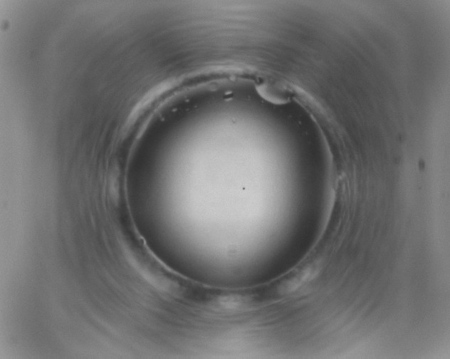 X0000065970064200603172100