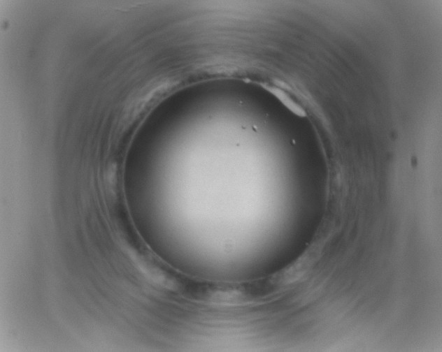 X0000065970066200603172100