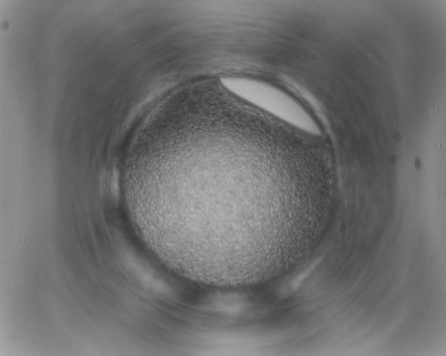 X0000065970067200603172100