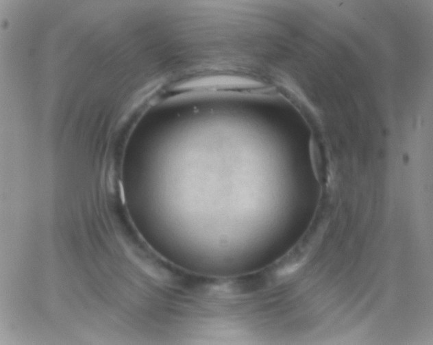 X0000065970068200603172100