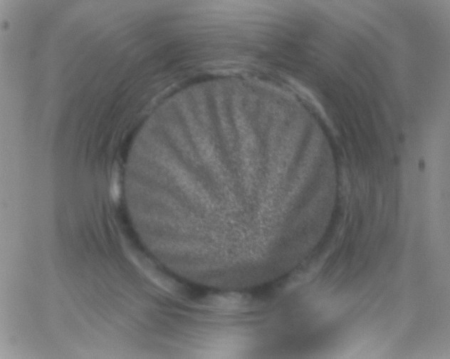 X0000065970069200603172100