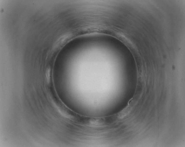 X0000065970070200603172100