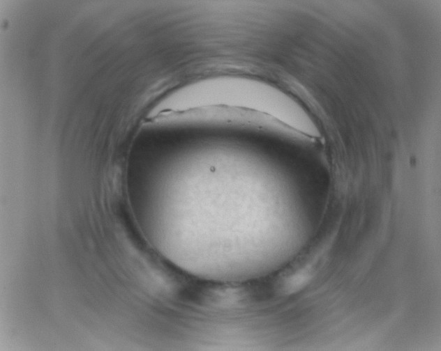 X0000065970071200603172100