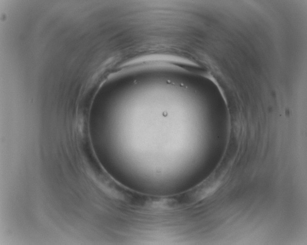 X0000065970072200603172100