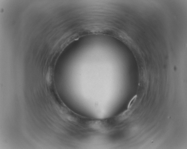 X0000065970074200603172100