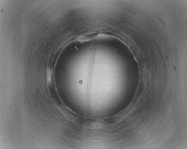 X0000065970075200603172100