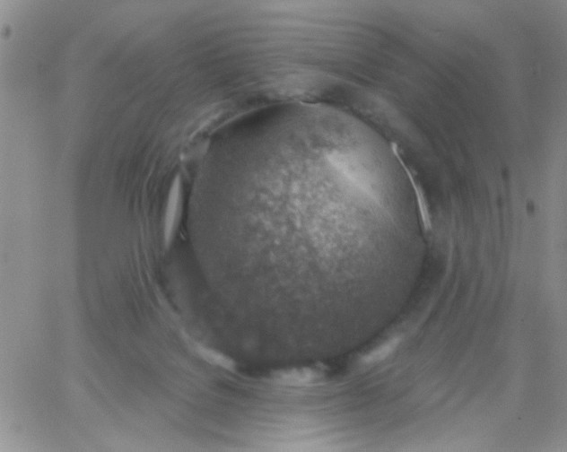 X0000065970076200603172100