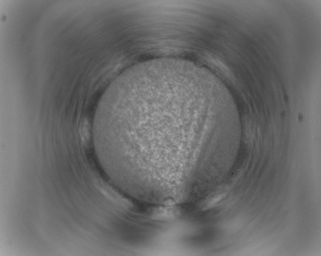 X0000065970077200603172100