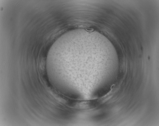 X0000065970078200603172100