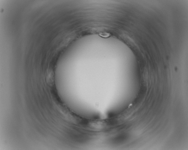 X0000065970079200603172101