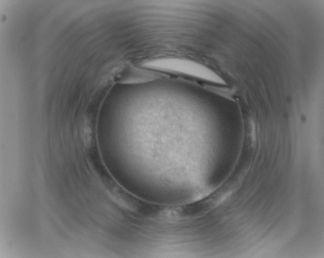 X0000065970080200603172101