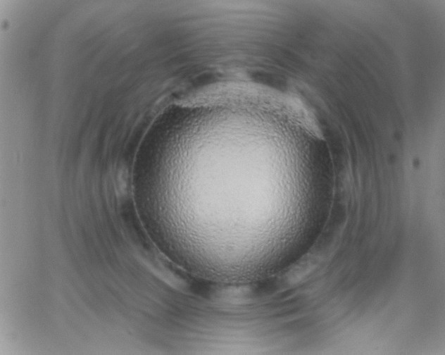 X0000065970081200603172101