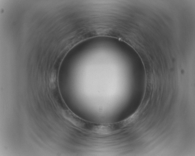 X0000065970082200603172101