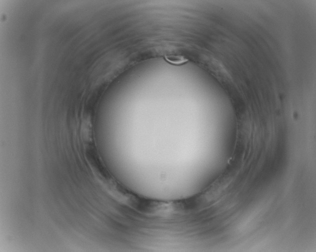 X0000065970083200603172101