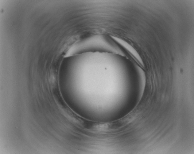 X0000065970084200603172101