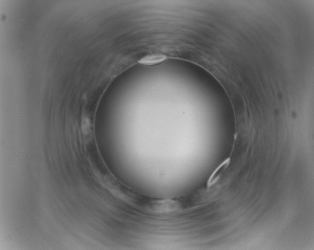 X0000065970087200603172101