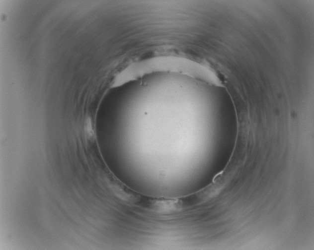 X0000065970089200603172101