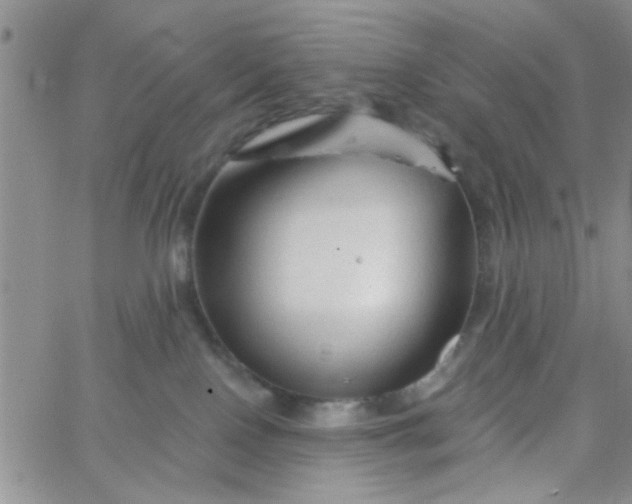 X0000065970090200603172101