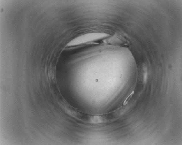 X0000065970091200603172101