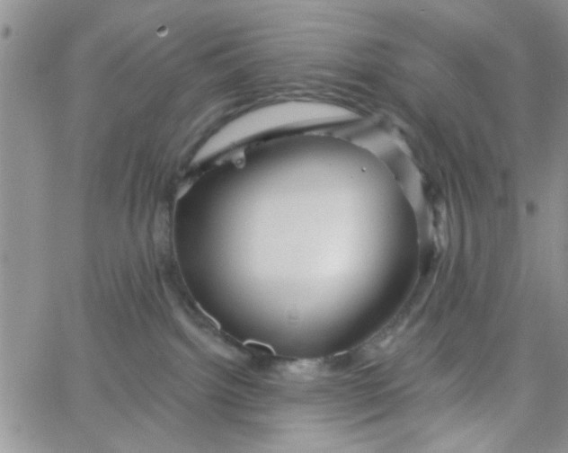 X0000065970092200603172101