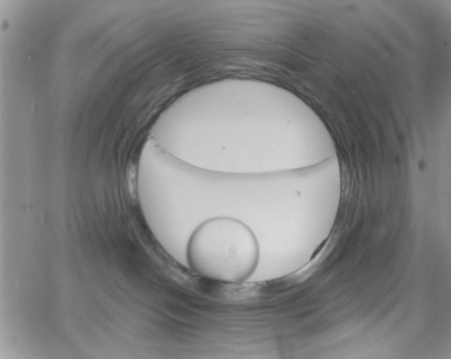 X0000065970094200603172101